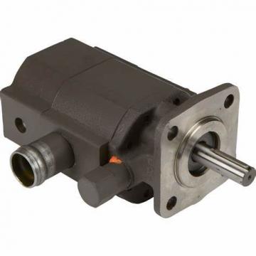 Blince PV2r1 PV2r2 PV2r3 Hydraulic Vane Pump